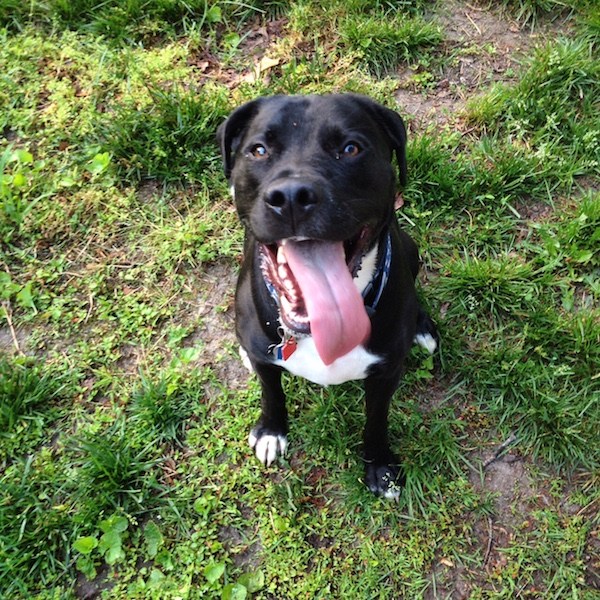 Archer | @kitchenability