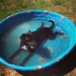 Cool Tips for Beating the Heat This Summer